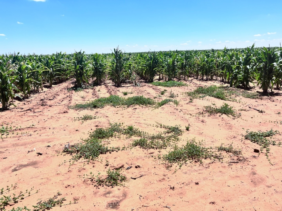 Commercial Property for Sale in Bloemfontein Rural Free State